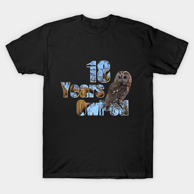 18 years owl-ed (18 years old) 18th birthday T-Shirt by ownedandloved